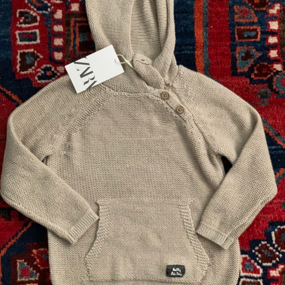 Zara Hooded Knit Sweater